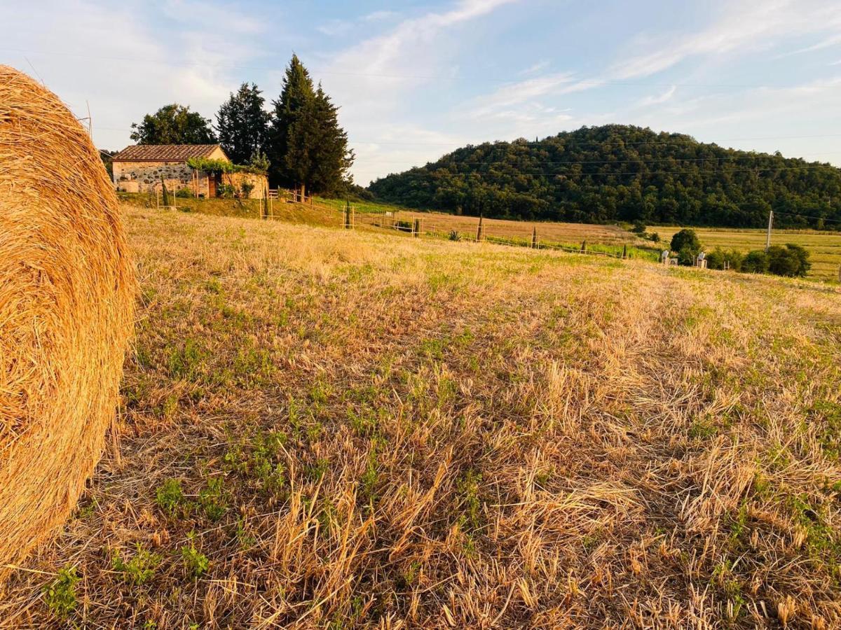 Podere La Selva Раполано-Терме Экстерьер фото